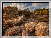 Kamienie, Skała, Głazy, Drzewa, Rośliny, Trawa