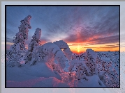 Zima, Zaśnieżone, Drzewa, Zachód słońca, Półwysep Kolski, Rosja