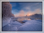 Zima, Mgła, Rzeka Pirenga, Drzewa, Półwysep Kolski, Obwód murmański, Rosja