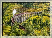 Szkocja, Miejscowość Glenfinnan, Dolina, Wiadukt Glenfinnan, Pociąg, Roślinność