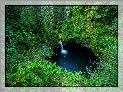 Wodospad Punch Bowl Falls, Las, Paprocie, Drzewa, Oregon, Stany Zjednoczone