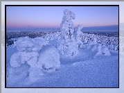 Zima, Zaśnieżone, Drzewa, Rezerwat Valtavaara, Laponia, Finlandia