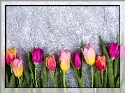 Kolorowe, Tulipany, Szare, Tło