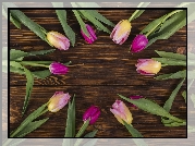 Tulipany, Brązowe, Deski