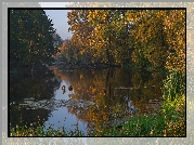Jesień, Rzeka, Drzewa, Trawy, Trzciny