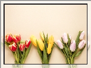 Kwiaty, Kolorowe, Tulipany, Trzy, Bukiety
