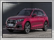 Czerwone, Audi Q5