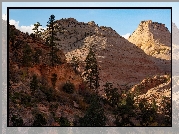 Park Narodowy Zion, Drzewa, Góry, Skały, Stan Utah, Stany Zjednoczone
