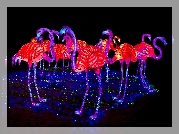 Flamingi, Kolorowe, Elektryczne, Oświetlenie, Iluminacje