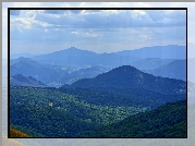 Bieszczady, Góry, Góra Tarnica, Wzgórza, Lasy, Polska