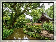 Park, Ogród japoński, Staw, Drzewa, Krzewy, Dom