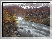 Rzeka Las Vueltas, Góry Andy, Las, Drzewa, Park Narodowy Los Glaciares, Patagonia, Argentyna