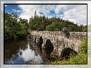Irlandia, Hrabstwo Kerry, Wieś Beaufort, Rzeka Laune, Most kamienny  Beaufort Bridge, Rzeka, Las, Drzewa