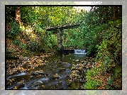 Wielka Brytania, Rzeka River Neb, Wyspa Man, Most, Jesień, Drzewa, Liście, Roślinność