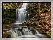 Anglia, Park Narodowy Yorkshire Dales, Wodospad Scaleber Force, Rzeka, Skały, Drzewo, Liście