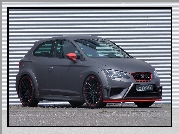 Seat Leon Cupra, Bok