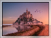 Francja, Wyspa Mont Saint-Michel, Zatoka Wzgórza Świętego Michała, Opactwo św. Michała Archanioła, Morze, Ptaki