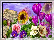Kwiaty, Słonecznik, Krokus, Róża, Grafika