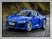 Niebieskie, Audi R8, Coupe