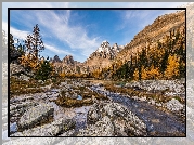 Kanada, Kolumbia Brytyjska, Park Narodowy Yoho, Płaskowyż Opabin Plateau, Góra Mount Huber, Strumień, Góry, Drzewa, Rzeka, Kamienie