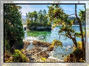 Stany Zjednoczone, Stan Waszyngton, Cieśnina Juan de Fuca, Park Salt Creek Recreation Area, Jezioro, Wysepka, Drzewa, Lasy