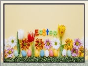 Wielkanoc, Napis, Kwiaty, Tulipany, Margerytki, Pisanki, Trawa