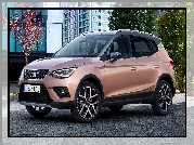 Seat Arona, 2017