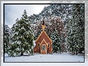 Zima, Drzewa, Kaplica, Kościółek, Las, Park Narodowy Yosemite, Stan Kalifornia, Stany Zjednoczone