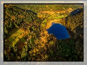 Jezioro Lower Lake, Wzgórza, Las, Park Narodowy Gór Wicklow, Irlandia