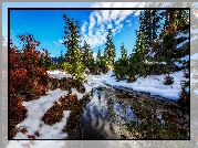 Stany Zjednoczone, Stan Waszyngton, Rezerwat przyrody Alpine Lakes Wilderness, Jezioro, Zima, Świerki