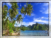 Francja, Polinezja Francuska, Ocean, Wyspa Moorea, Góry, Palmy