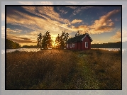 Domek, Jezioro Vaeleren, Gmina Ringerike, Norwegia, Trawy, Drzewa, Wschód słońca, Chmury
