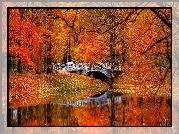 Jesień, Park, Drzewa, Rzeka, Most, Liście, Odbicie