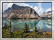 Kanada, Prowincja Alberta, Park Narodowy Banff, Jezioro Bow Lake, Góra Crowfoot Mountain, Roślinność