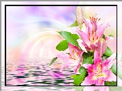 Kwiaty, Lilie, Woda, Grafika 2D