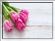 Kwiaty, Różowe, Tulipany, Deski
