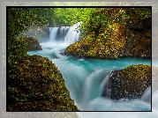 Rzeka Salmon River, Wodospad Spirit Falls, Hrabstwo Skamania, Stan Waszyngton, Stany Zjednoczone, Skały, Roślinność