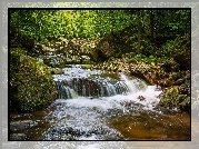 Niemcy, Saksonia, Park Narodowy Harzu, Rzeka Ilse, Las, Kamienie