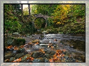 Irlandia Północna, Tollymore Forest Park, Most Foleys Bridge, Rzeka Shimna, Kamienie, Las, Jesień