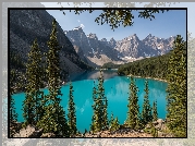 Kanada, Alberta, Park Narodowy Banff, Jezioro Moraine, Las, Drzewa, Góry