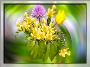 Kwiaty, Lucerna, Tulipan, Frezje, Grafika, Rozmycie