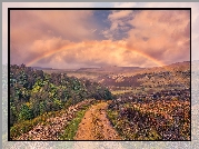 Anglia, Hrabstwo Derbyshire, Park Narodowy Peak District, Dolina Longdendale, Wzgórza, Tęcza, Droga, Las, Drzewa