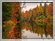 Niemcy, Saksonia, Park Rododendronów Kromlau, Kamienny, Most łukowy, Most Diabła, Jezioro Rakotz, Jesień,  Drzewa