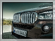 BMW X5 E70, Grill