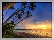 Morze, Palmy, Plaża, Wyspa Ko Mak, Prowincja Trat, Tajlandia, Chmury, Wschód słońca