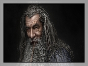 Ian McKellen, Czarodziej, Gandalf Szary, Twarz, Portret, Hobbit