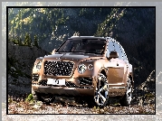 Bentley Bentayga, SUV, Przód