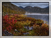 Góry Kołymskie, Jezioro Sosedneye, Krzewy, Rośliny, Drzewa, Mgła, Kołyma, Magadan, Rosja
