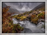 Wielka Brytania, Walia, Rzeka Afon Ogwen, Rzeka, Góry, Kamienie, Paprocie, Mgła