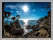 Stany Zjednoczone, Stan Kalifornia, Wybrzeże, Pebble Beach, Morze, Skały, Lone Cypress, Drzewa, Promienie słońca